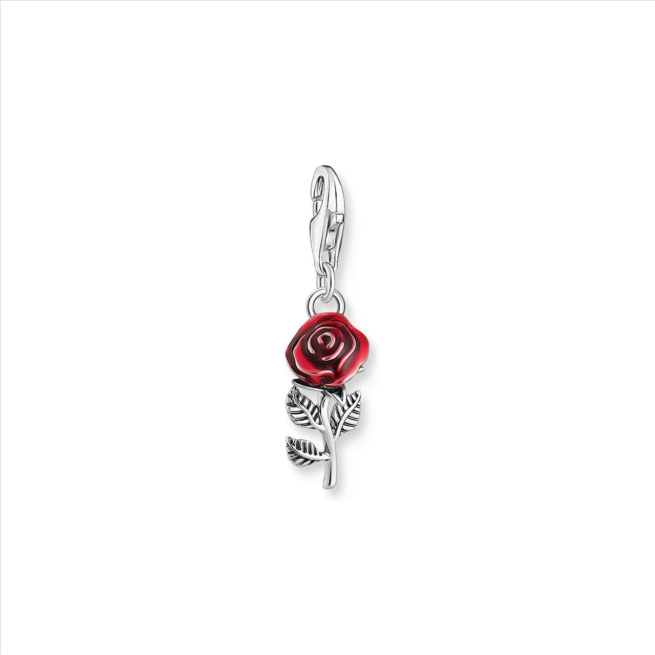 Charm Red Rose