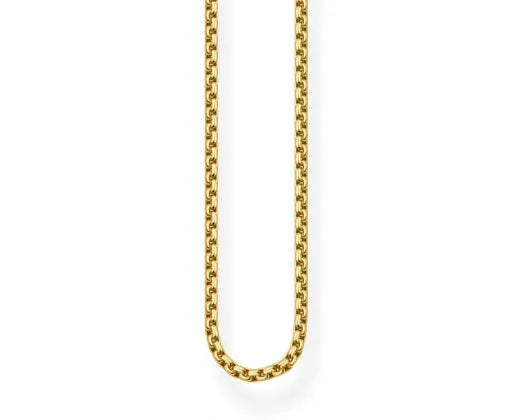 Yellow Gold Plated Box Chain Necklace